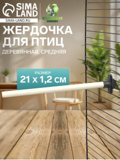 Жёрдочка для птиц «Пижон», 21×1.2 см, средняя, дерево, бежевая