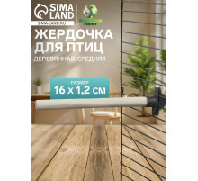 Жёрдочка для птиц «Пижон», 16×1.2 см, средняя, дерево, бежевая