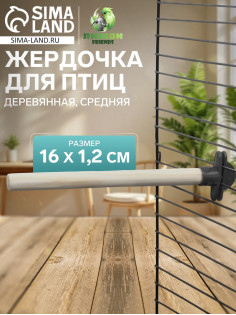 Жёрдочка для птиц «Пижон», 16×1.2 см, средняя, дерево, бежевая