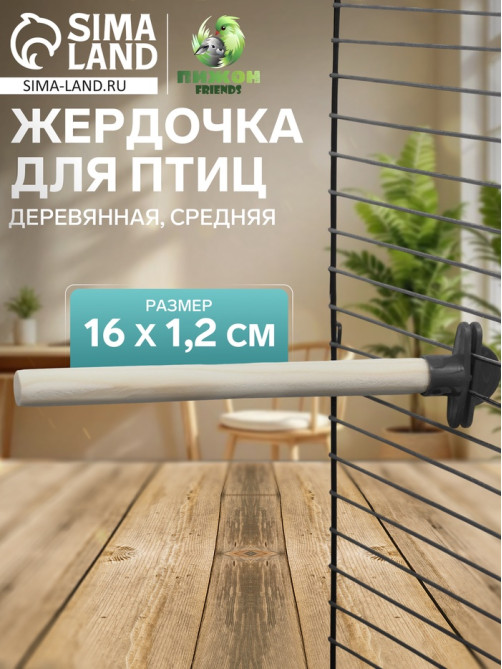Жёрдочка для птиц «Пижон», 16×1.2 см, средняя, дерево, бежевая