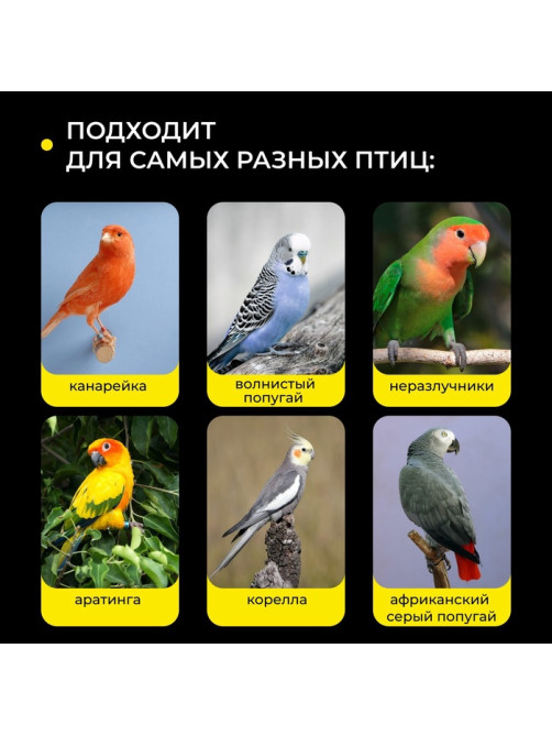 Кормушка для птиц, 7.5×5.5×9 см, внутренняя, пластик, белая