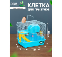 Клетка для грызунов «Пижон», 27×21×26 см укомплектованная, голубая