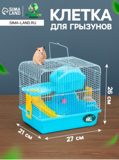 Клетка для грызунов «Пижон», 27×21×26 см укомплектованная, голубая