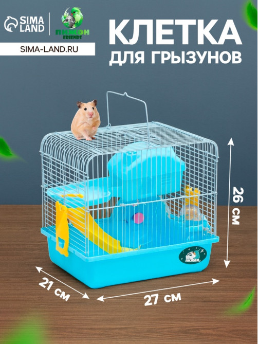 Клетка для грызунов «Пижон», 27×21×26 см укомплектованная, голубая