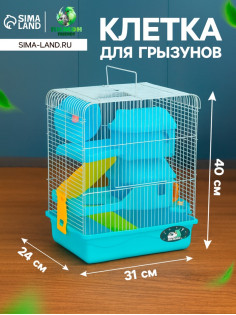Клетка для грызунов «Пижон», 31×24×40 см двухэтажная. с наполнением, голубая