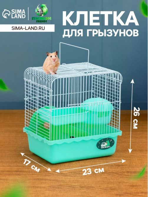 Клетка для грызунов «Пижон», 23×17×26 см, эмаль, зелёная