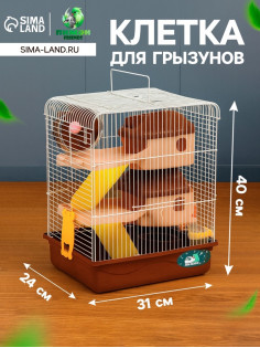 Клетка для грызунов «Пижон», 31×24×40 см двухэтажная. с наполнением, коричневая