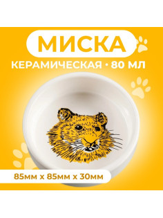 Миска для грызунов «Сытая мордочка», 80 мл, 8.5×3 см, керамика, белая