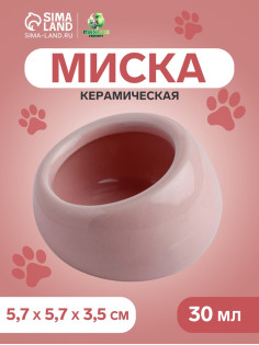 Миска для грызунов, 30 мл, 5.7×5.7×3.5 см, со скошенным краем, керамика, розовая