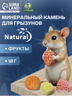 Минеральный камень для грызунов «Пижон», фрукты, 18 г, набор 4 шт.