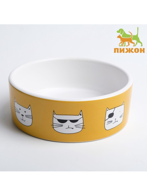 Миска «Опасные коты», 230 мл, 12.5×4.5 cм, керамика, белая, оранжевая