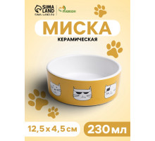 Миска «Опасные коты», 230 мл, 12.5×4.5 cм, керамика, белая, оранжевая