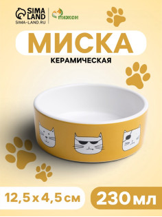 Миска «Опасные коты», 230 мл, 12.5×4.5 cм, керамика, белая, оранжевая