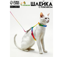 Комплект для кошек «Радуга», ОШ 16.5-27, ОГ 21-35 см, ширина 1 см, поводок 120 см