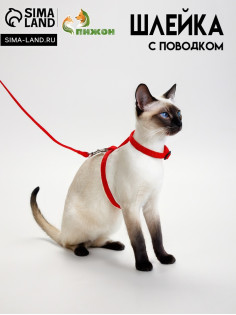 Комплект для кошек, ширина 1 см, ОШ 16.5-27 см, ОГ 21-35 см, поводок 120 см, красный