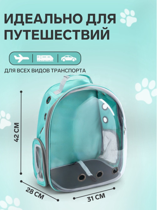 Рюкзак для переноски животных, 31×28×42 см, прозрачный, бирюзовый