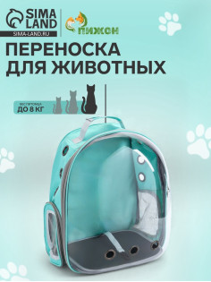 Рюкзак для переноски животных, 31×28×42 см, прозрачный, бирюзовый
