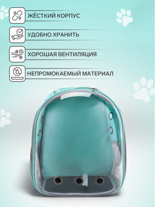Рюкзак для переноски животных, 31×28×42 см, прозрачный, бирюзовый