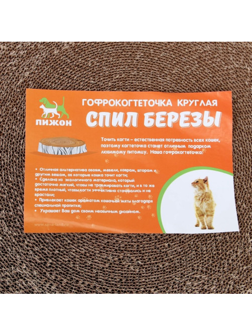 Гофрокогтеточка «Пижон. Спил березы», 28×4 см, с пропиткой, высокая, круглая