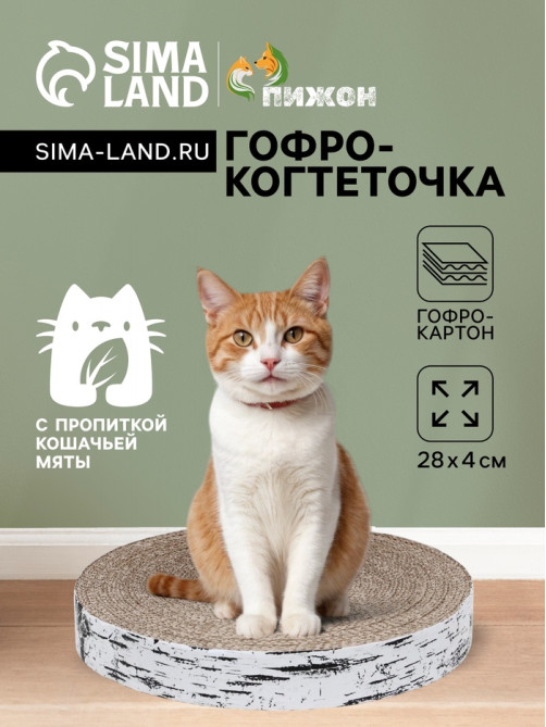Гофрокогтеточка «Пижон. Спил березы», 28×4 см, с пропиткой, высокая, круглая