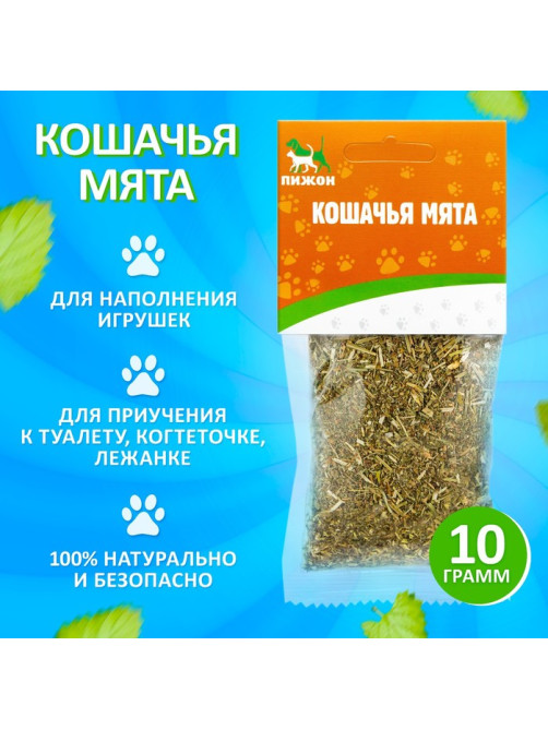 Кошачья мята «Пижон», 10 г