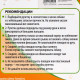 Рулетка «Фантазия», 3 м, до 11.5 кг, жёлтая