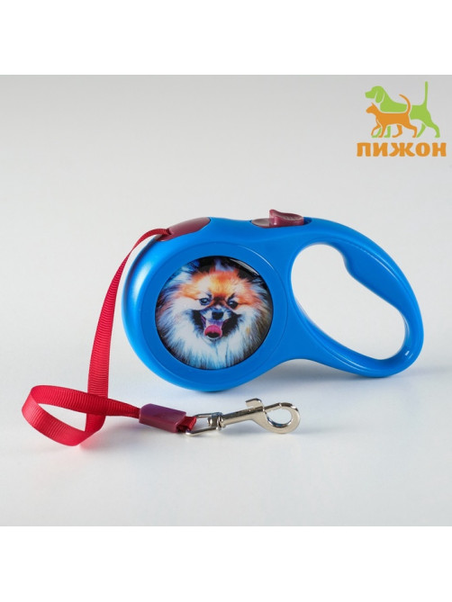 Рулетка с принтом «Милашка», 3 м, вес животного до 12 кг, синяя