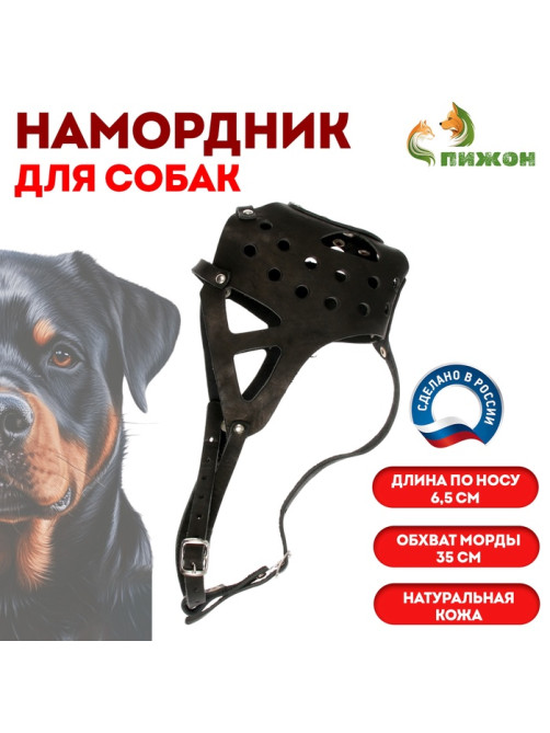 Намордник кожаный, цельнокроенный, длина по носу 6.5 см, ОМ 35 см, ротвейлер, чёрный