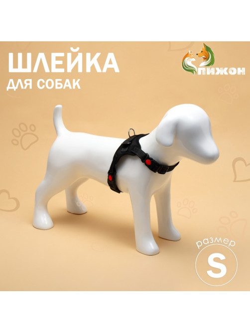Шлейка К7, размер S, ОГ 44-55 см, вес 5-9 кг, мягкая, светоотражающая, чёрная