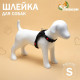 Шлейка К7, размер S, ОГ 44-55 см, вес 5-9 кг, мягкая, светоотражающая, чёрная