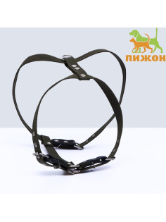 Шлейка брезентовая «Прогулочная», 2.5 см, ОШ 46-58 см, ОГ 78-85 см