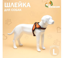 Шлейка улучшенная К7, размер L, ОГ 64-86 см, вес 18-27.5 кг, мягкая, светоотражающая, оранжевая