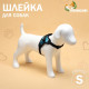 Шлейка К7, размер S, ОГ 44-55 см, вес 5-9 кг, мягкая, светоотражающая, голубая