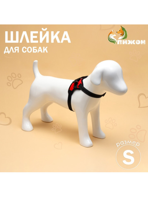 Шлейка К7, размер S, ОГ 44-55 см, вес 5-9 кг, мягкая, светоотражающая, красная
