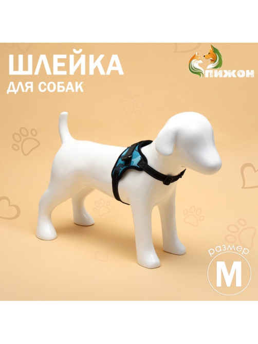 Шлейка К7, размер М, ОГ 52-66 см, вес 9.5-17.5 кг, мягкая, светоотражающая, голубая