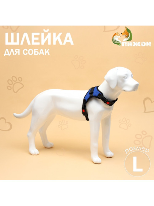 Шлейка К7, размер L, ОГ 64-86 см, вес 18- 27.5 кг, мягкая, светоотражающая, синяя