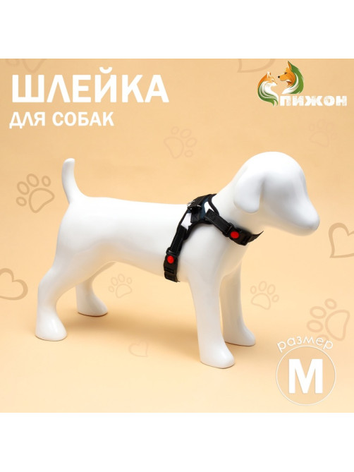 Шлейка К7, размер М, ОГ 52-66 см, вес 9.5-17.5 кг, мягкая, светоотражающая, хаки