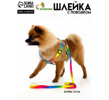 Комплект «Радуга», капрон, поводок 120×1 см, шлейка 24-34×1 см