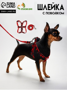 Шлейка с поводком «Большая лапа», ширина 1.5 см, поводок 120 см, шлейка 28-42 см, красная, чёрная