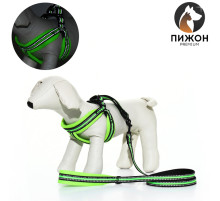 Шлейка с поводком, ОШ 35-53, поводок 120×1.5 см, мягкая, светоотражающая, зелёная