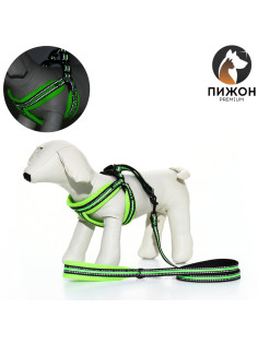 Шлейка с поводком, ОШ 35-53, поводок 120×1.5 см, мягкая, светоотражающая, зелёная