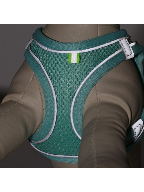 Шлейка с поводком, размер XXS, ОШ 24-26 ОГ 28-30 см, поводок 150×1.5 см, быстросъёмная, мягкая, бирюзовая