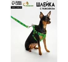 Шлейка с поводком «Большая лапа», ширина 1.5 см, поводок 120 см, шлейка 28-42 см, зелёная, жёлтая