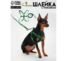 Комплект «Камуфляж», ОШ 16.5-27, ОГ 21-35 см, 120×1 см, капрон, зелёный