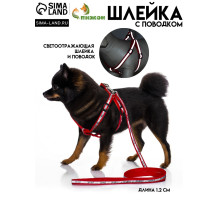 Шлейка с поводком «Спорт», ОГ 23-35 с, ширина 1 см, поводок 120 см, светоотражающий, красная
