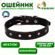 Ошейник кожаный на синтепоне, безразмерный, 65×3 см, ОШ 22-55 см, чёрный