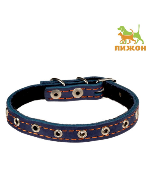 Ошейник кожаный на синтепоне, безразмерный, 37×1.5 см, ОШ 21-31 см, синий