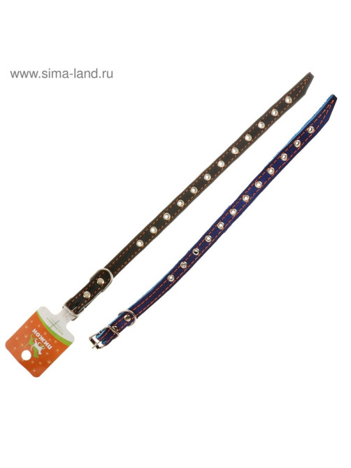Ошейник кожаный на синтепоне, безразмерный, 37×1.5 см, ОШ 21-31 см, синий