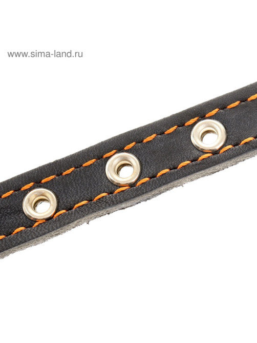 Ошейник кожаный на синтепоне, безразмерный, 37×1.5 см, ОШ 21-31 см, синий