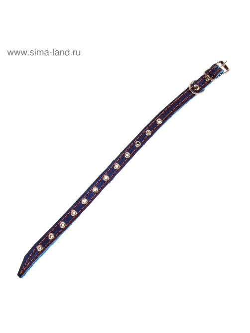 Ошейник кожаный на синтепоне, безразмерный, 37×1.5 см, ОШ 21-31 см, синий